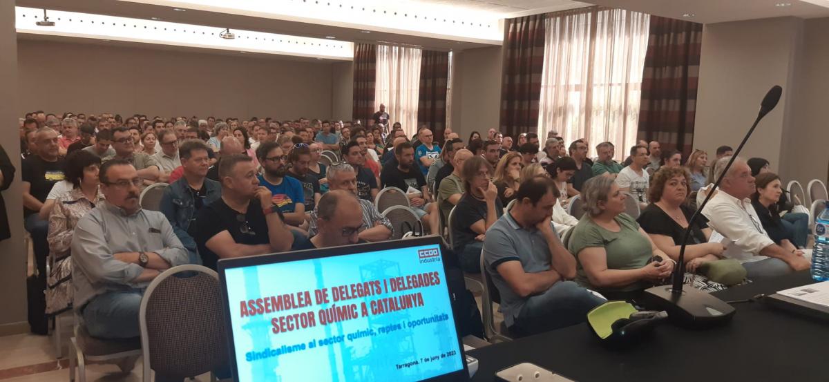 Asamblea de la qumica en Tarragona