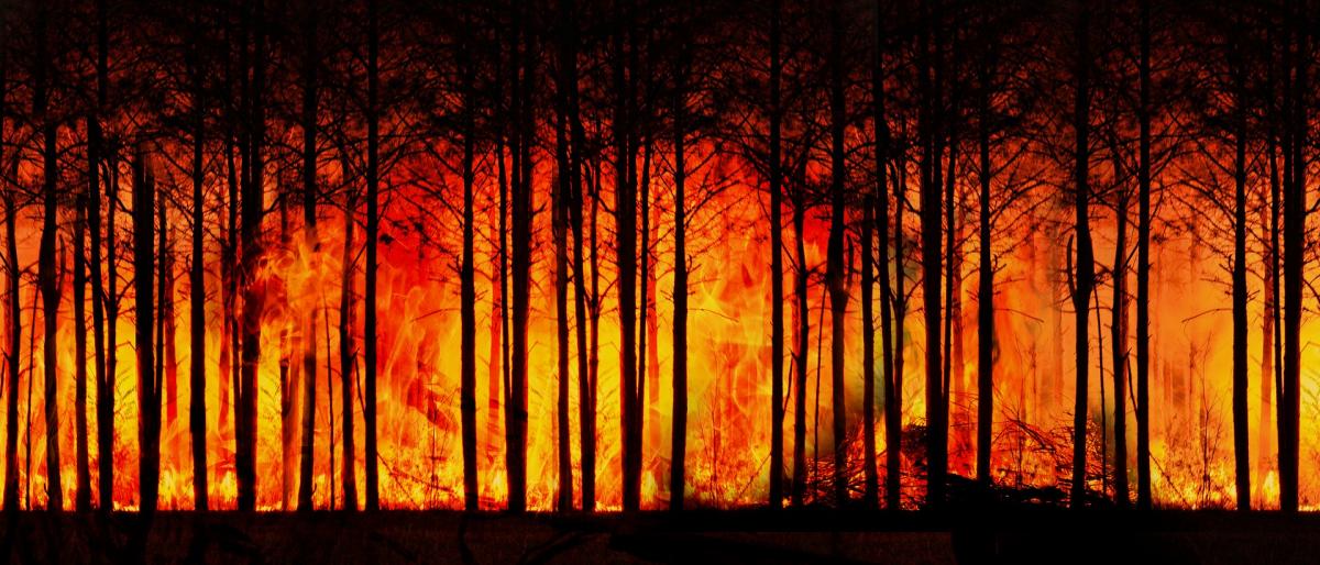 Imagen de archivo de un incendio forestal.