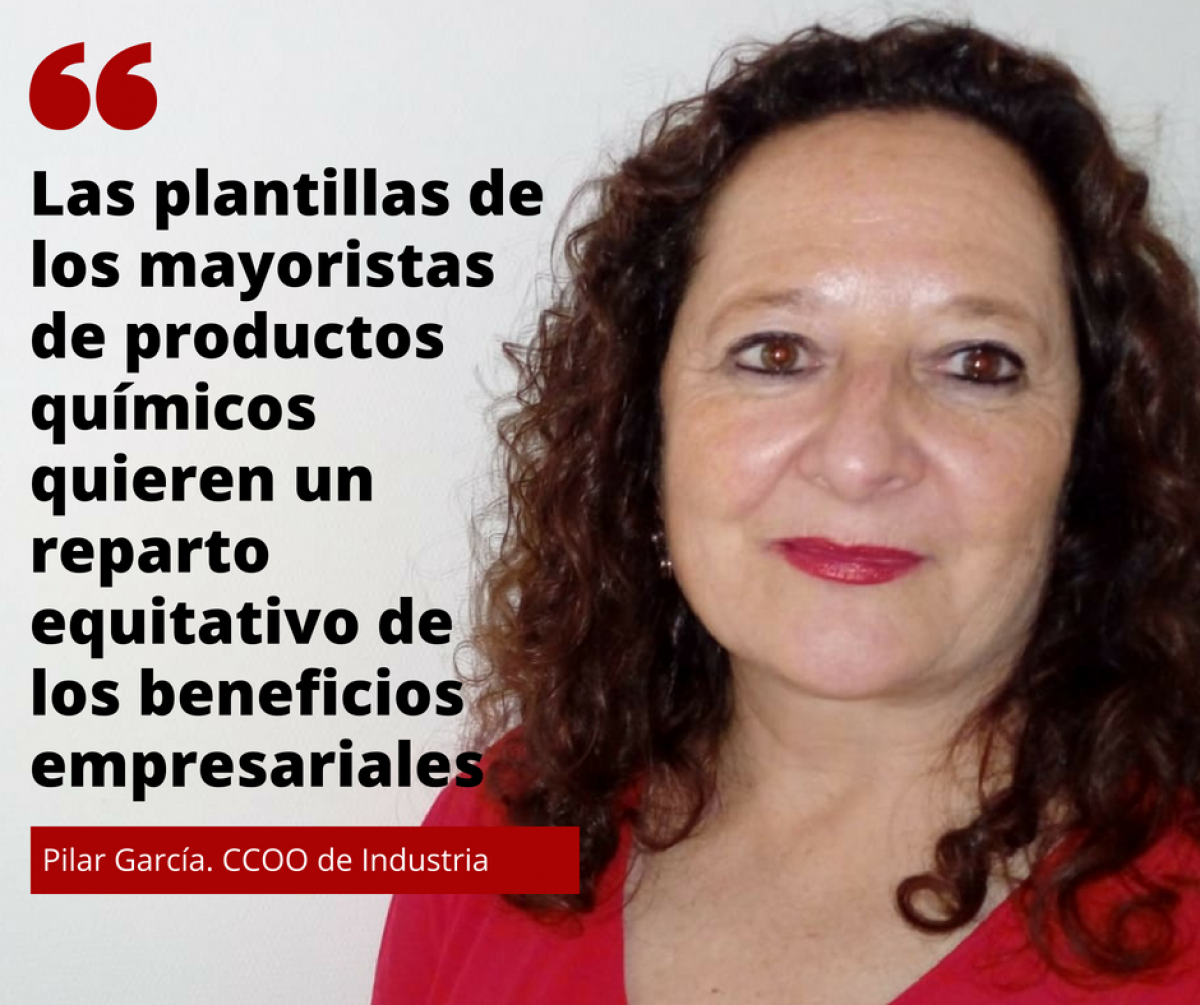 Pilar Garca. CCOO de Industria